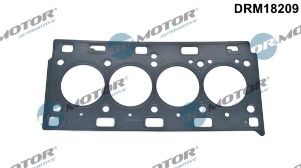 Dr.Motor DRM18209 Gasket, cylinder head DRM18209: Buy near me in Poland at 2407.PL - Good price!