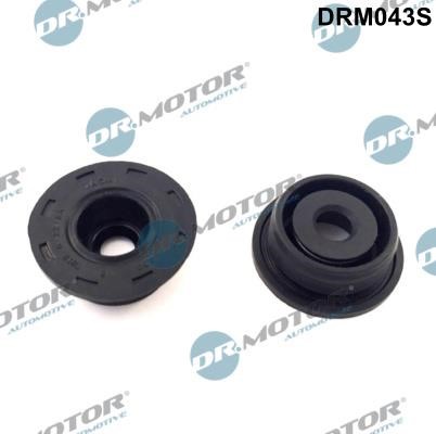 Dr.Motor DRM043S Seal Ring, cylinder head cover bolt DRM043S: Buy near me in Poland at 2407.PL - Good price!