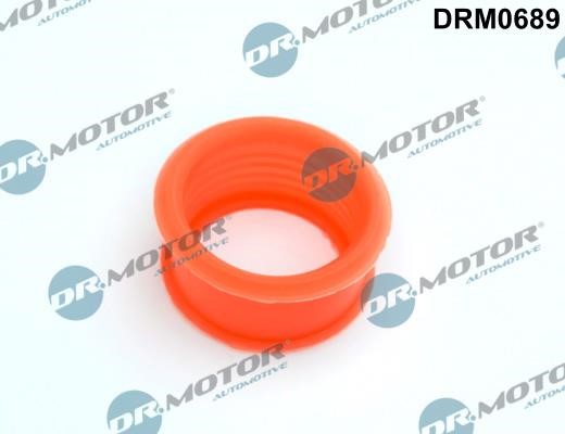 Dr.Motor DRM0689 Turbine gasket DRM0689: Buy near me in Poland at 2407.PL - Good price!