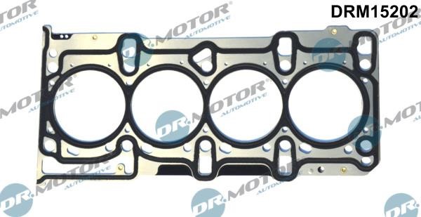 Dr.Motor DRM15202 Прокладка ГБЦ DRM15202: Купить в Польше - Отличная цена на 2407.PL!