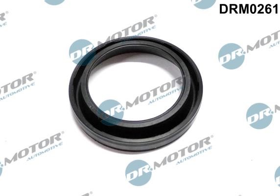 Dr.Motor DRM0261 Seal, injector holder DRM0261: Buy near me in Poland at 2407.PL - Good price!