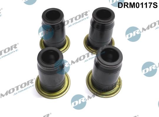 Dr.Motor DRM0117S Seal, injector holder DRM0117S: Buy near me at 2407.PL in Poland at an Affordable price!