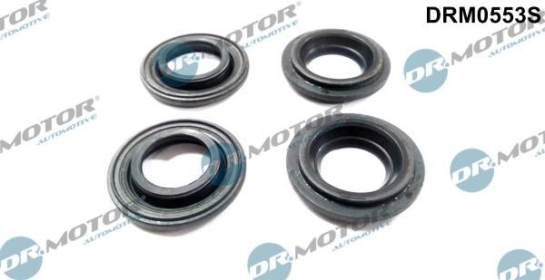 Dr.Motor DRM0553S Seal, injector holder DRM0553S: Buy near me in Poland at 2407.PL - Good price!