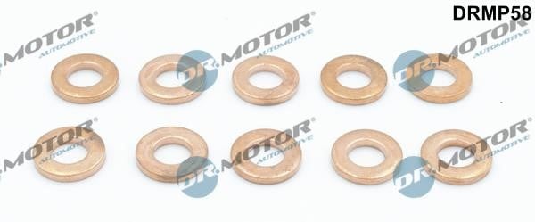 Dr.Motor DRMP58 Seal Kit, injector nozzle DRMP58: Buy near me in Poland at 2407.PL - Good price!