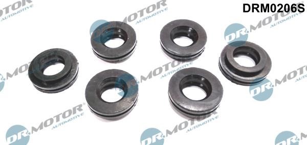 Dr.Motor DRM0206S Fuel injector repair kit DRM0206S: Buy near me in Poland at 2407.PL - Good price!