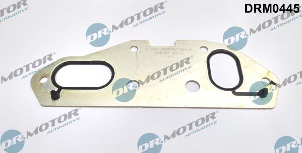 Dr.Motor DRM0445 Oil cooler gasket DRM0445: Buy near me in Poland at 2407.PL - Good price!