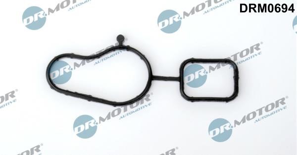 Dr.Motor DRM0694 Gasket, water pump DRM0694: Buy near me in Poland at 2407.PL - Good price!