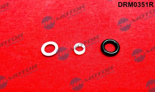 Dr.Motor DRM0351R Fuel injector repair kit DRM0351R: Buy near me in Poland at 2407.PL - Good price!