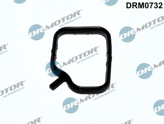 Dr.Motor DRM0732 Seal, coolant pipe DRM0732: Buy near me in Poland at 2407.PL - Good price!