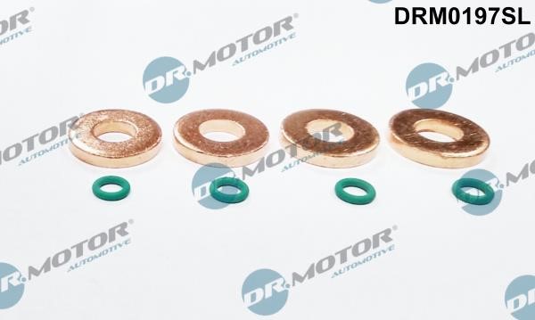 Dr.Motor DRM0197SL Fuel injector repair kit DRM0197SL: Buy near me at 2407.PL in Poland at an Affordable price!