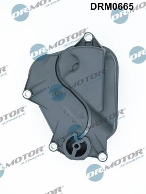 Buy Dr.Motor DRM0665 at a low price in Poland!