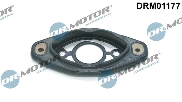 Dr.Motor DRM01177 Seal, camshaft adjustment DRM01177: Buy near me at 2407.PL in Poland at an Affordable price!
