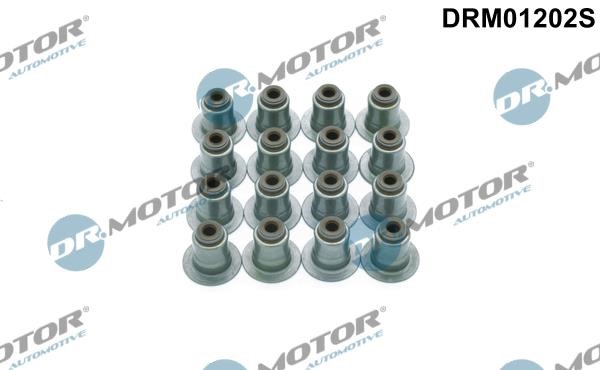 Dr.Motor DRM01202S Valve oil seals, kit DRM01202S: Buy near me in Poland at 2407.PL - Good price!
