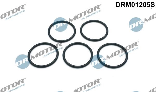 Dr.Motor DRM01205S Gasket Set, water pump DRM01205S: Buy near me in Poland at 2407.PL - Good price!