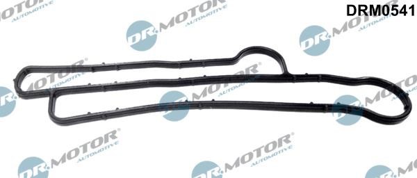 Dr.Motor DRM0541 Seal, oil cooler DRM0541: Buy near me in Poland at 2407.PL - Good price!