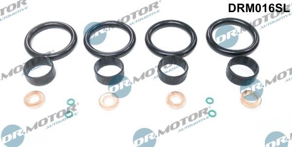 Dr.Motor DRM016SL Seal Kit, injector nozzle DRM016SL: Buy near me in Poland at 2407.PL - Good price!