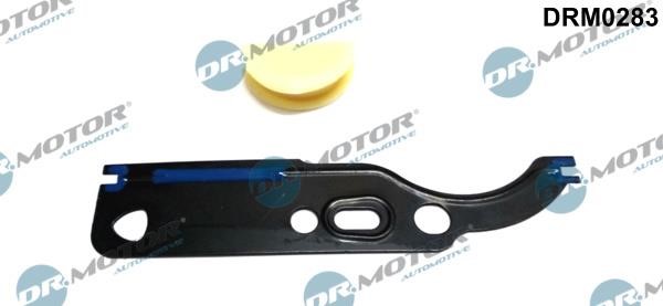 Dr.Motor DRM0283 Seal, timing chain tensioner DRM0283: Buy near me in Poland at 2407.PL - Good price!