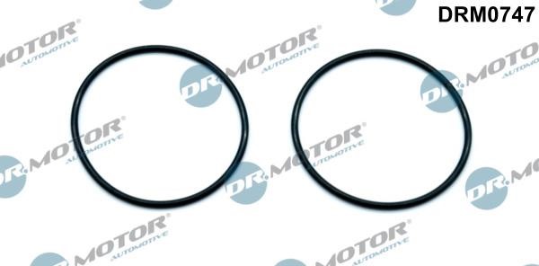 Dr.Motor DRM0747 Gasket, vacuum pump DRM0747: Buy near me in Poland at 2407.PL - Good price!