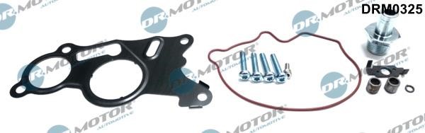 Dr.Motor DRM0325 Repair Set, vacuum pump (braking system) DRM0325: Buy near me in Poland at 2407.PL - Good price!