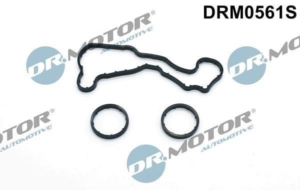 Dr.Motor DRM0561S Seal, oil cooler DRM0561S: Buy near me in Poland at 2407.PL - Good price!