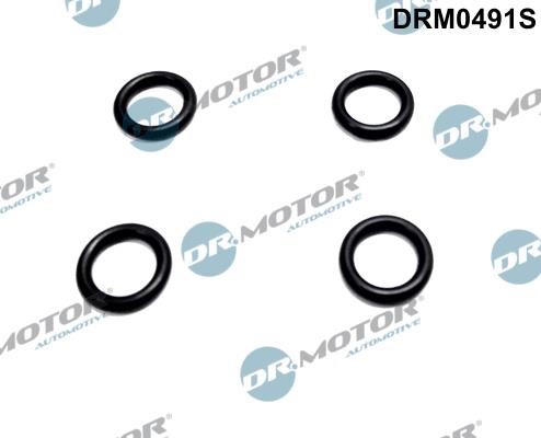 Dr.Motor DRM0491S Seal Ring, nozzle holder DRM0491S: Buy near me in Poland at 2407.PL - Good price!