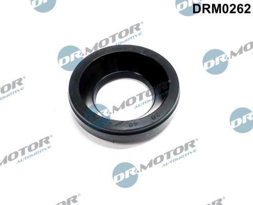 Dr.Motor DRM0262 Seal, injector holder DRM0262: Buy near me in Poland at 2407.PL - Good price!