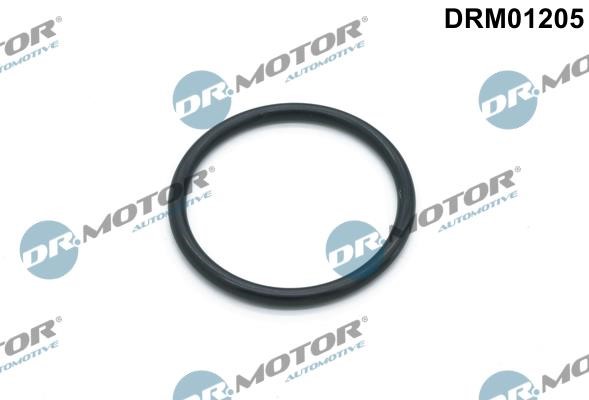 Dr.Motor DRM01205 Gasket, water pump DRM01205: Buy near me in Poland at 2407.PL - Good price!