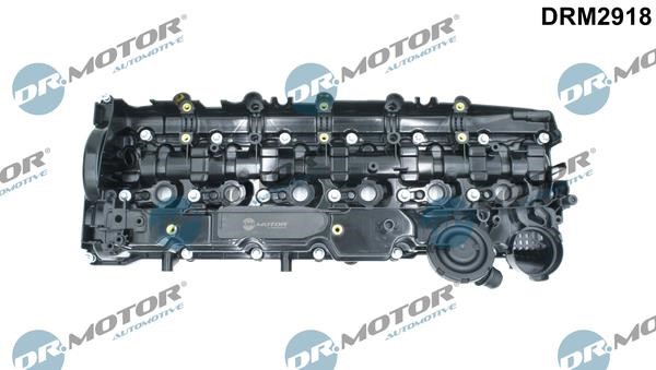 Dr.Motor DRM2918 Cylinder Head Cover DRM2918: Buy near me in Poland at 2407.PL - Good price!