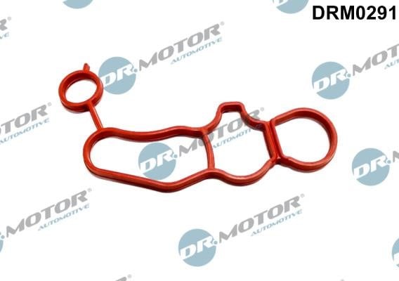Dr.Motor DRM0291 Seal, oil filter housing DRM0291: Buy near me in Poland at 2407.PL - Good price!