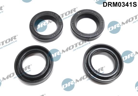 Dr.Motor DRM0341S Seal, injector holder DRM0341S: Buy near me in Poland at 2407.PL - Good price!