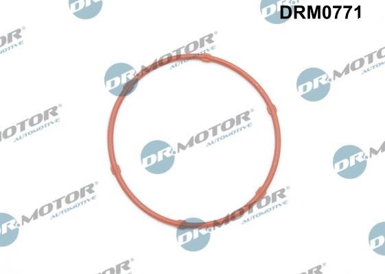 Dr.Motor DRM0771 Seal, oil pump DRM0771: Buy near me in Poland at 2407.PL - Good price!