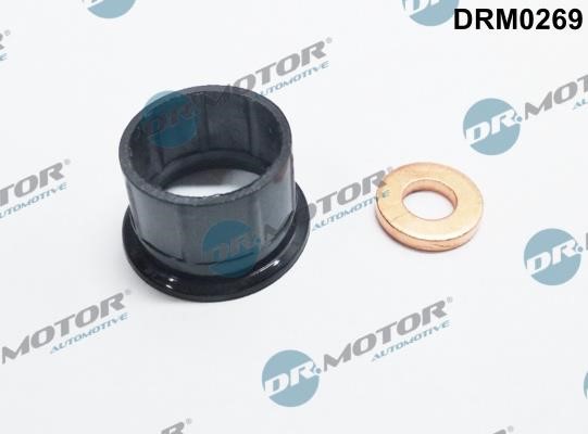 Dr.Motor DRM0269 Fuel injector repair kit DRM0269: Buy near me in Poland at 2407.PL - Good price!