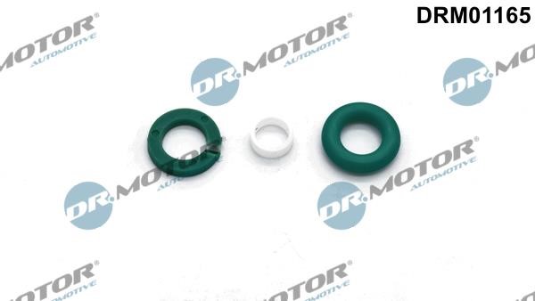 Dr.Motor DRM01165 Seal Kit, injector nozzle DRM01165: Buy near me in Poland at 2407.PL - Good price!