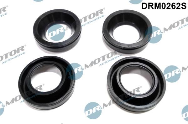Dr.Motor DRM0262S Seal, injector holder DRM0262S: Buy near me in Poland at 2407.PL - Good price!