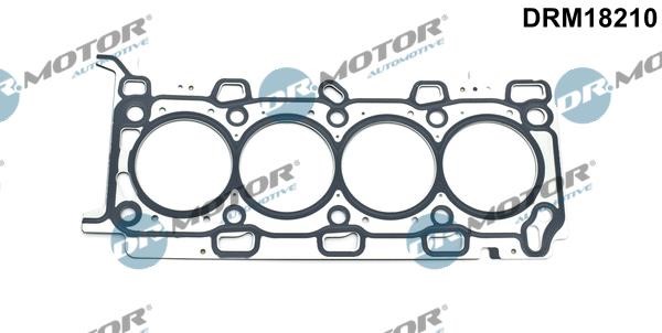 Dr.Motor DRM18210 Gasket, cylinder head DRM18210: Buy near me in Poland at 2407.PL - Good price!