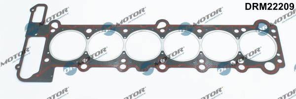 Dr.Motor DRM22209 Gasket, cylinder head DRM22209: Buy near me in Poland at 2407.PL - Good price!