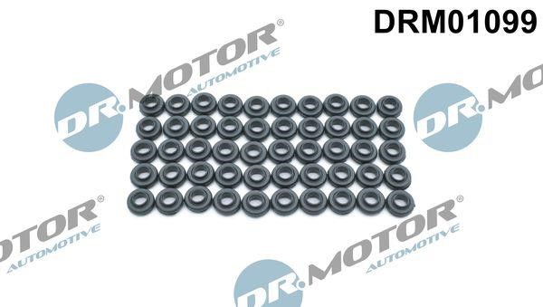 Dr.Motor DRM01099 Прокладка, болт крышка головки цилиндра DRM01099: Купить в Польше - Отличная цена на 2407.PL!