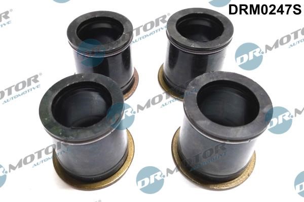 Dr.Motor DRM0247S Seal, injector holder DRM0247S: Buy near me in Poland at 2407.PL - Good price!