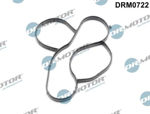 Dr.Motor DRM0722 Gasket, water pump DRM0722: Buy near me in Poland at 2407.PL - Good price!
