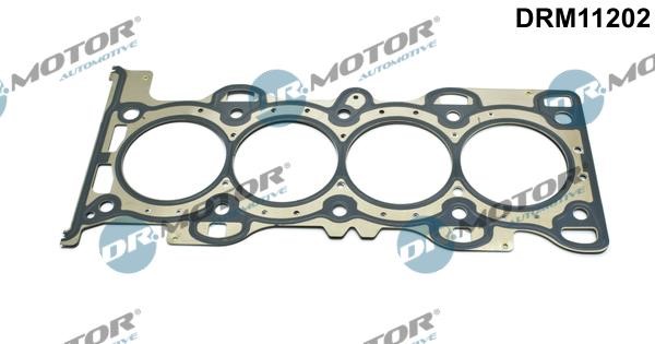 Dr.Motor DRM11202 Gasket, cylinder head DRM11202: Buy near me in Poland at 2407.PL - Good price!