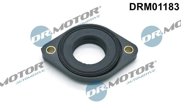 Dr.Motor DRM01183 Seal, camshaft adjustment DRM01183: Buy near me in Poland at 2407.PL - Good price!