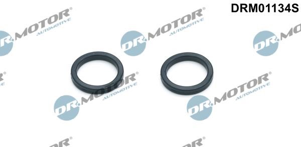 Dr.Motor DRM01134S Oil cooler gaskets, kit DRM01134S: Buy near me in Poland at 2407.PL - Good price!