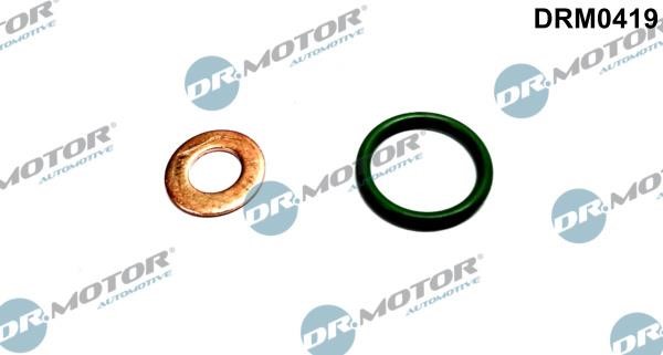 Dr.Motor DRM0419 Fuel injector repair kit DRM0419: Buy near me in Poland at 2407.PL - Good price!