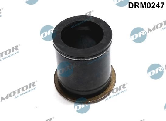 Dr.Motor DRM0247 Seal, injector holder DRM0247: Buy near me in Poland at 2407.PL - Good price!