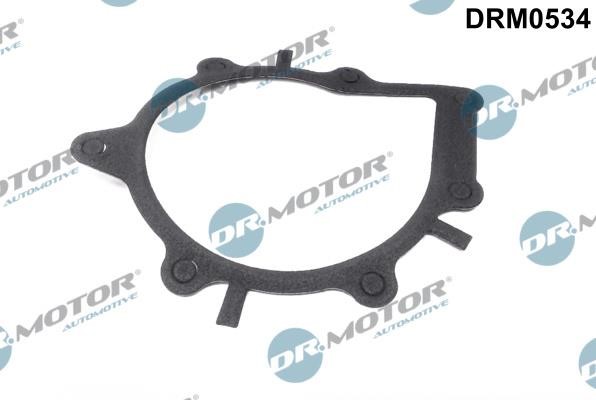 Dr.Motor DRM0534 Gasket, water pump DRM0534: Buy near me at 2407.PL in Poland at an Affordable price!