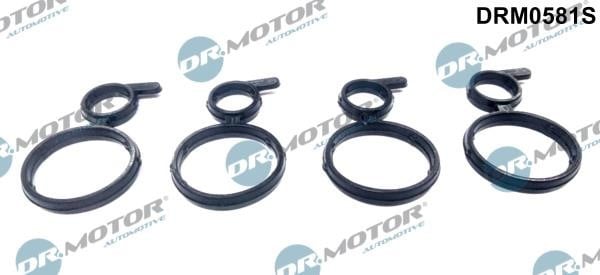 Dr.Motor DRM0581S Seal, camshaft sealing cover DRM0581S: Buy near me in Poland at 2407.PL - Good price!