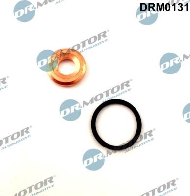 Dr.Motor DRM0131 Seal Kit, injector nozzle DRM0131: Buy near me in Poland at 2407.PL - Good price!