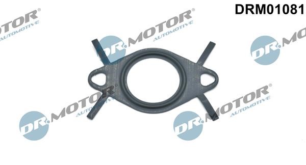 Dr.Motor DRM01081 Gasket, EGR valve pipe DRM01081: Buy near me in Poland at 2407.PL - Good price!