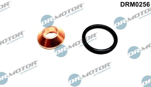 Dr.Motor DRM0256 Seal Kit, injector nozzle DRM0256: Buy near me in Poland at 2407.PL - Good price!