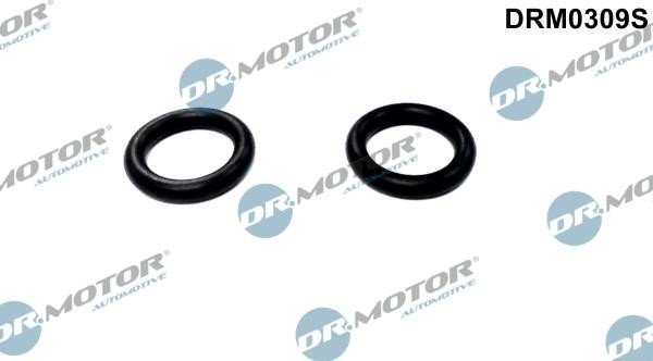 Dr.Motor DRM0309S Seal, oil cooler DRM0309S: Buy near me in Poland at 2407.PL - Good price!